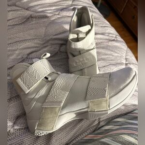 LeBron Soldier 10 FSG LUX ( High Demand) designer